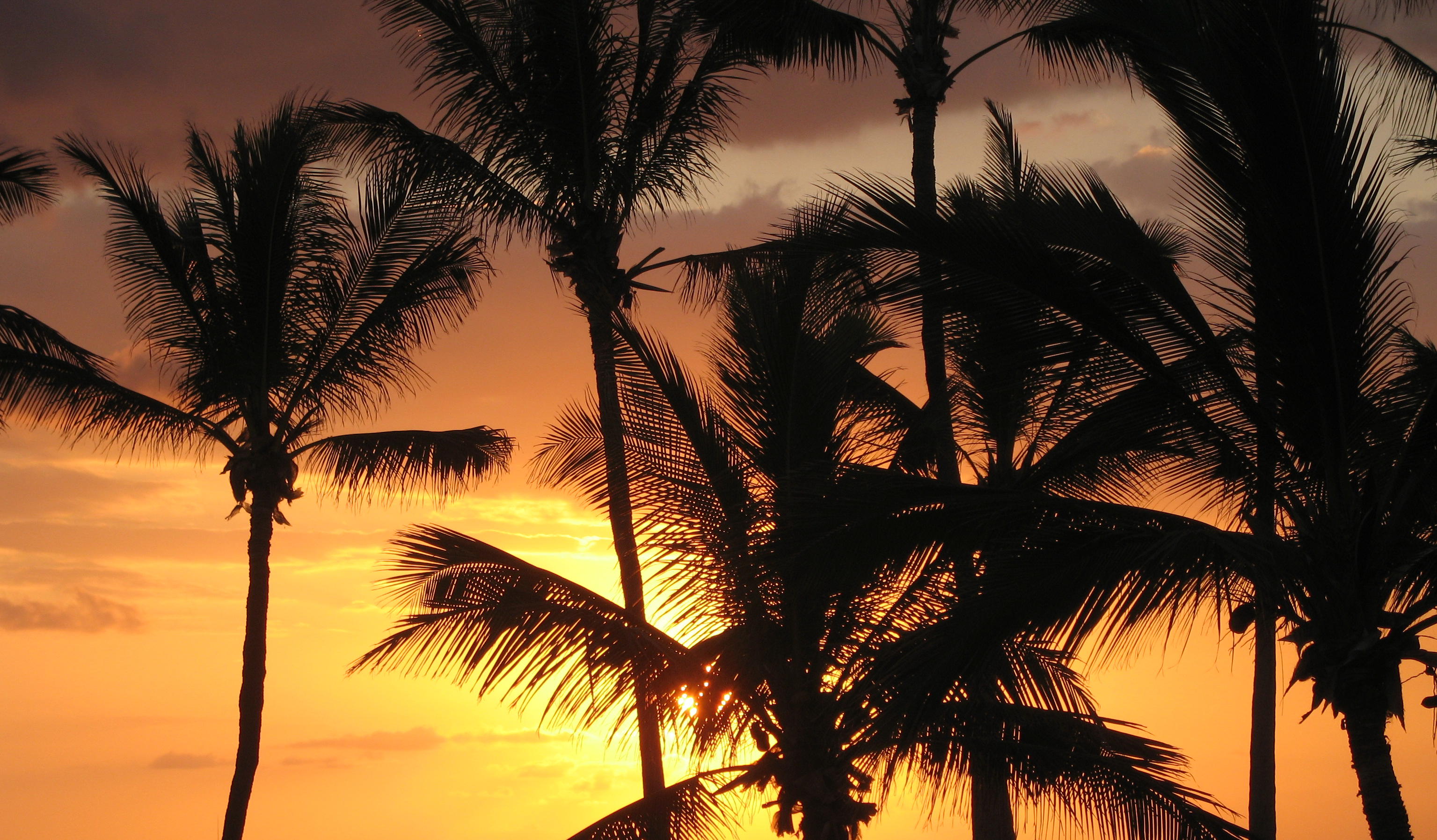 2007_02_19 Waikaloa sunset.jpg